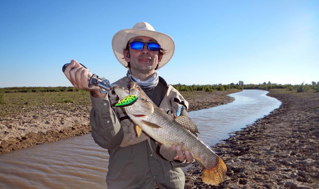 Tarariras en el río Coronda ~ #Pesca ~ Infobae.com