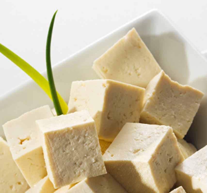 tofu-catagory