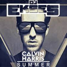 Calvin Harris Summer